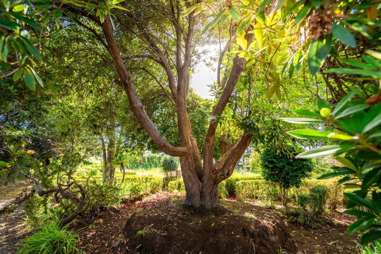 サンタナ Casa Da Tia Clementinaヴィラ エクステリア 写真